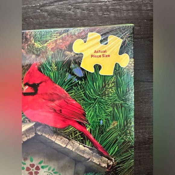 Springbok 2021 Feathered Retreat 350 Big Pieces Birds‎ Jigsaw Puzzle - Picture 3 of 9